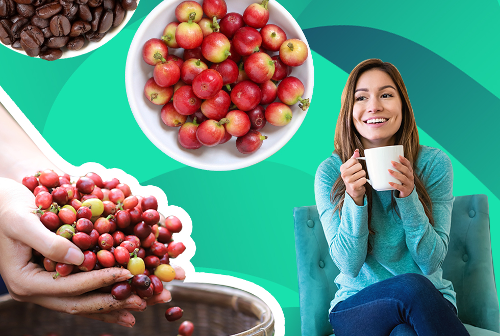 Health Benefits of Coffee Fruit