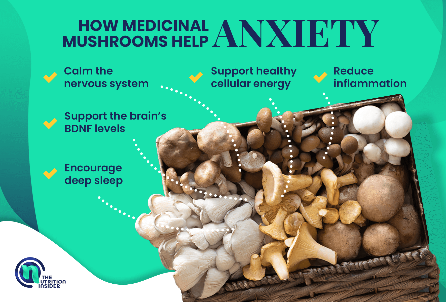 How Medicinal Mushrooms Help Anxiety