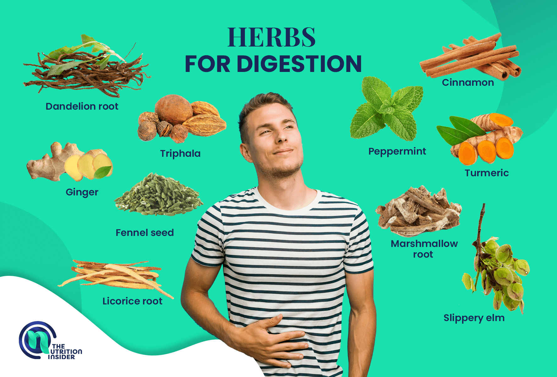 10 Herbs for Digestion