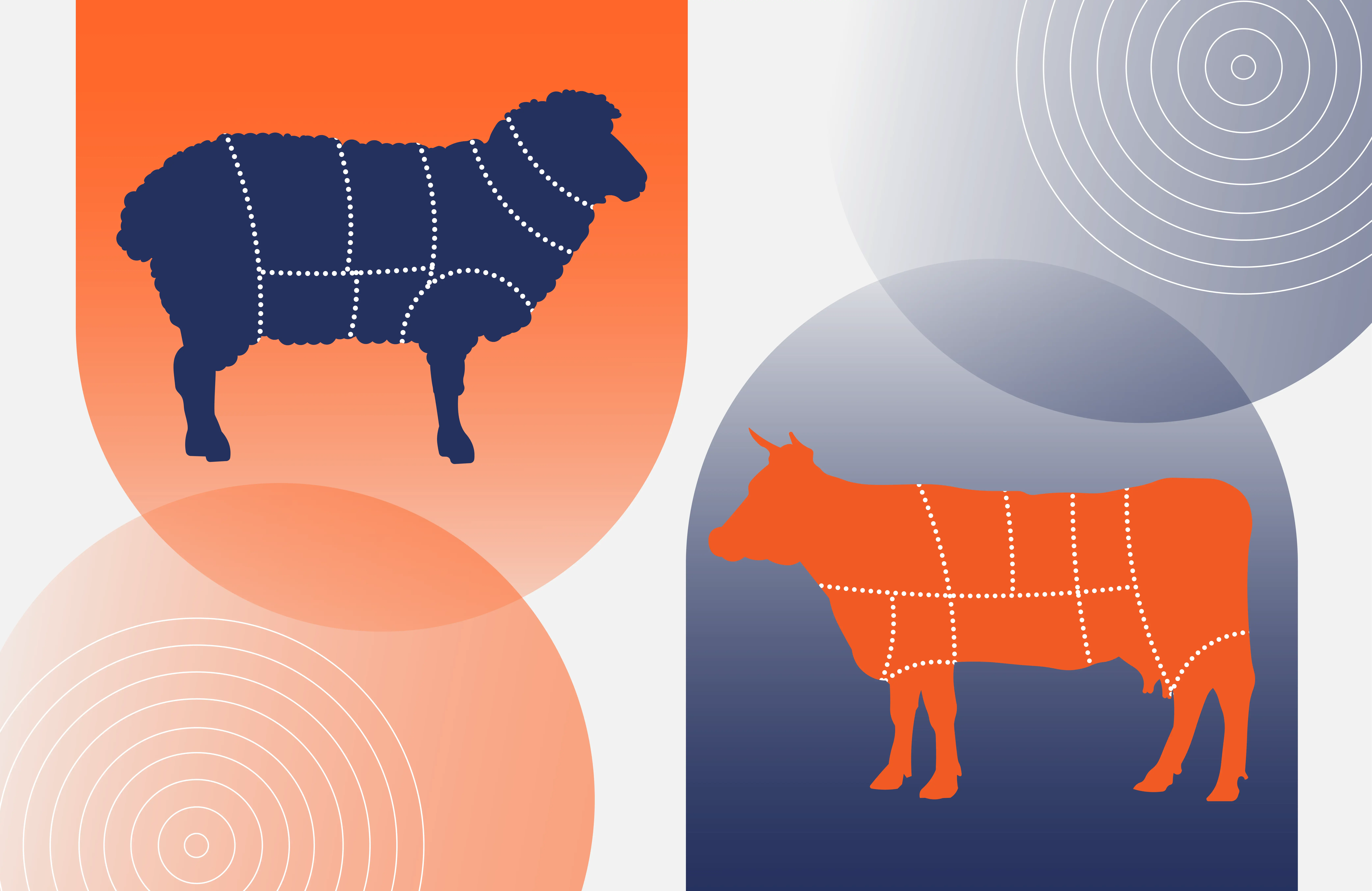 Lamb vs Beef