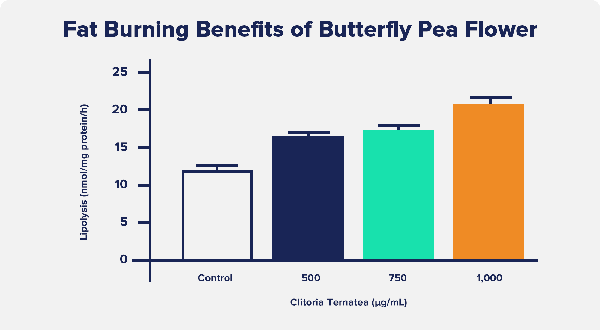 Fat Burning Benefits of Butterfly Pea Flower