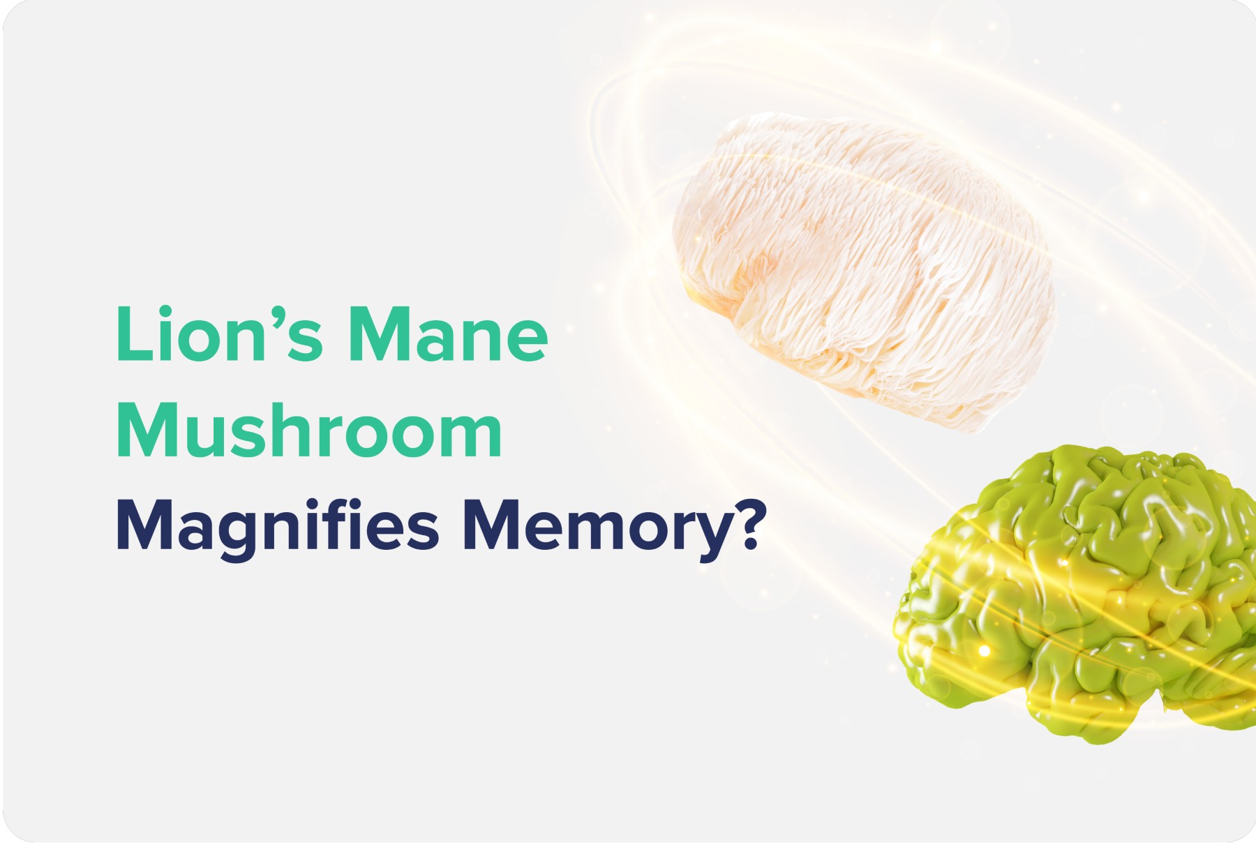 Lion's Mane Mushroom Magnifies Memory