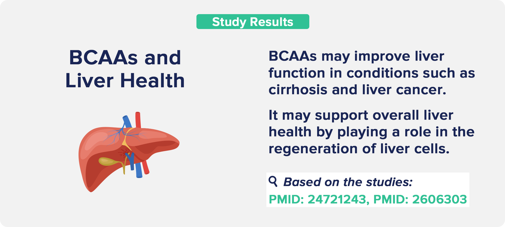 BCAAs and Liver Health