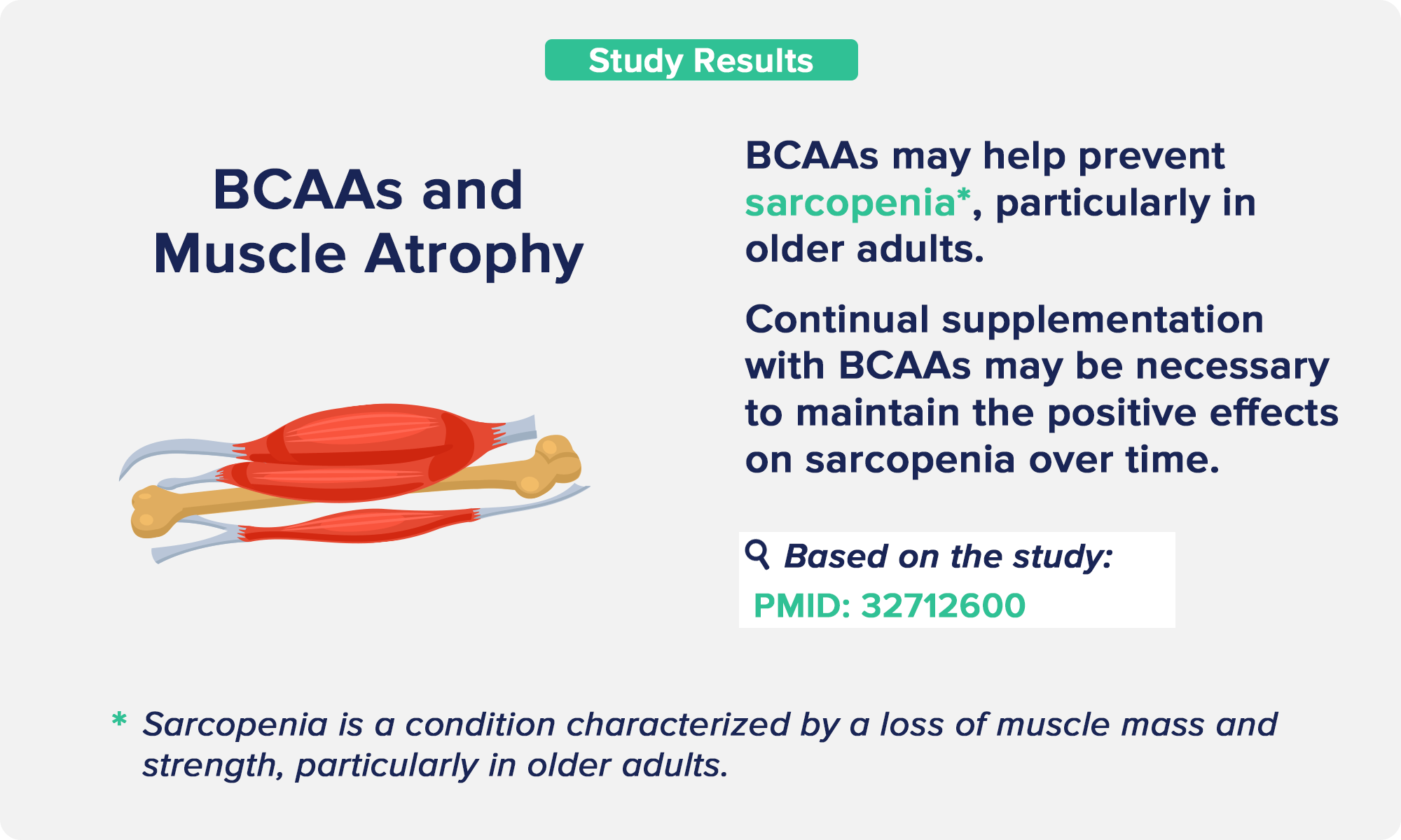 BCAAs and Muscle Atrophy