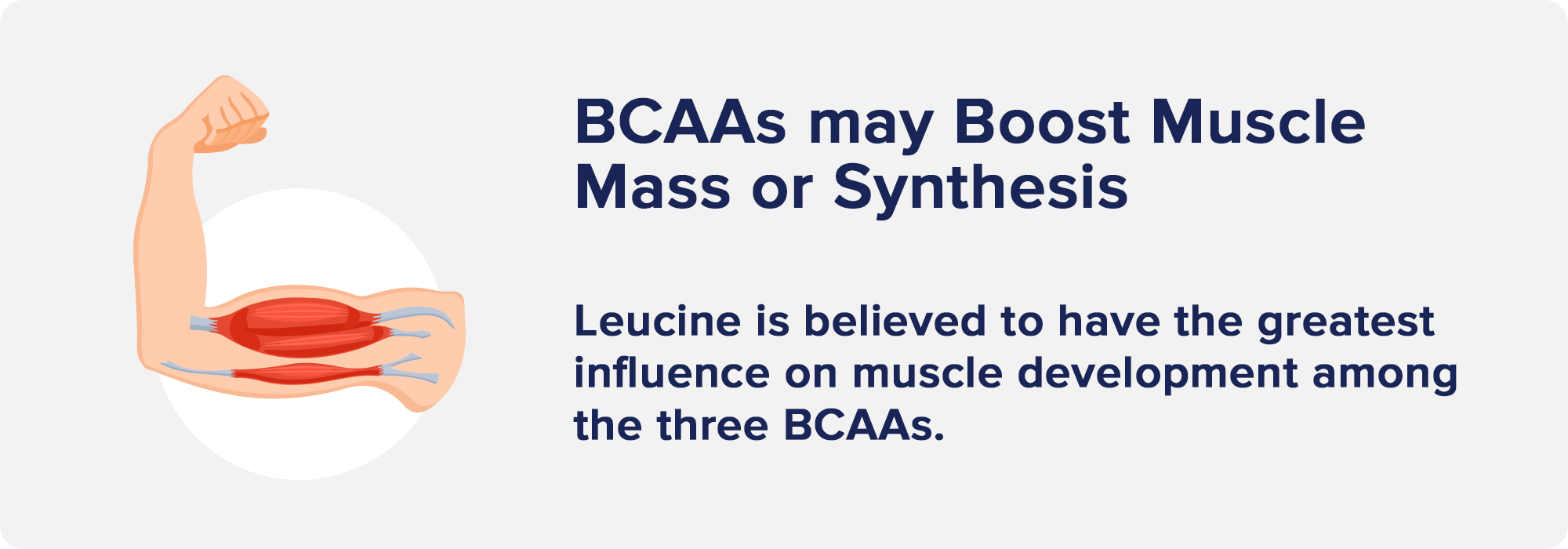 BCAAs may Boost Muscle Mass or Synthesis
