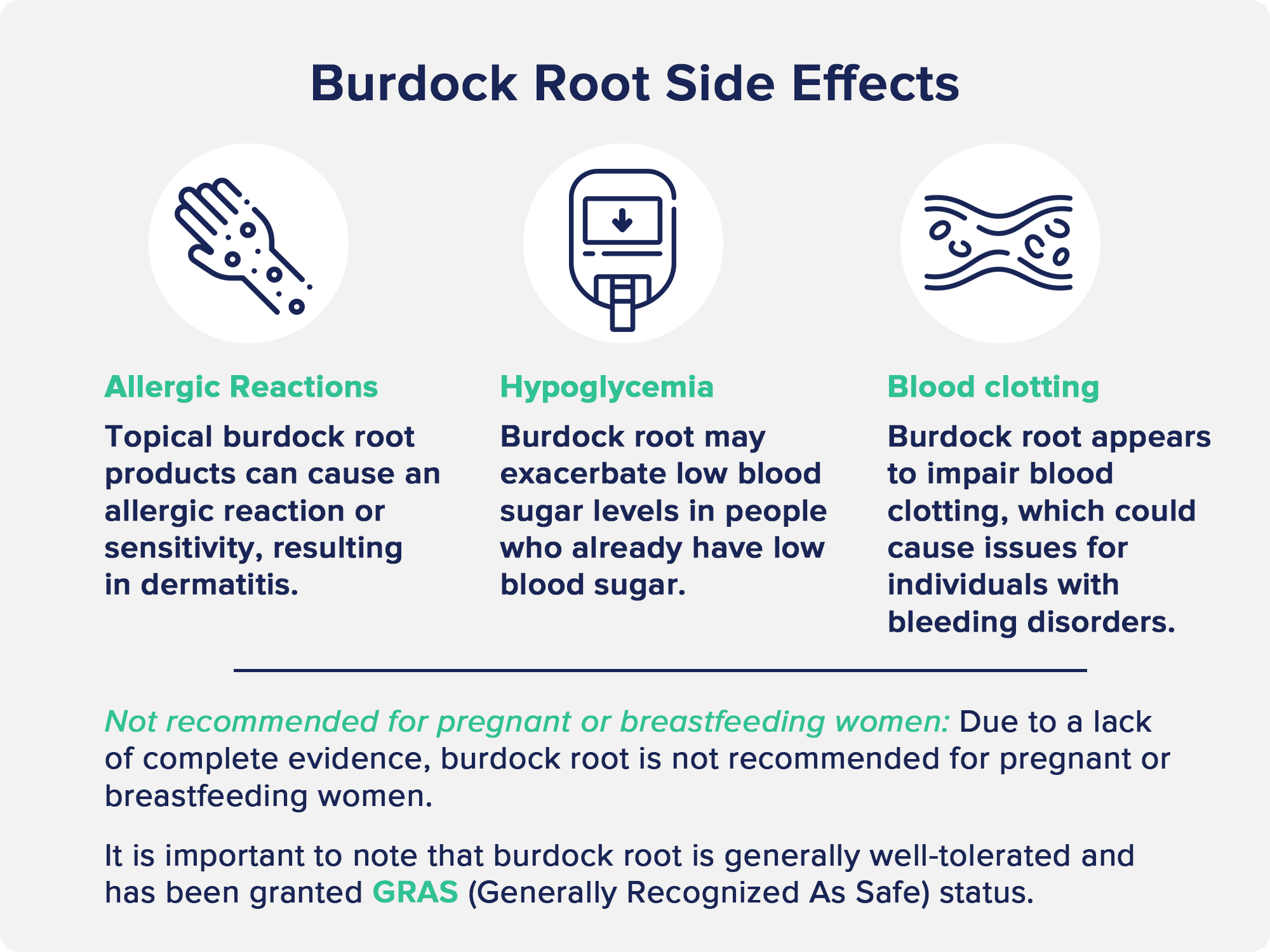 Burdock Root Side Effects 