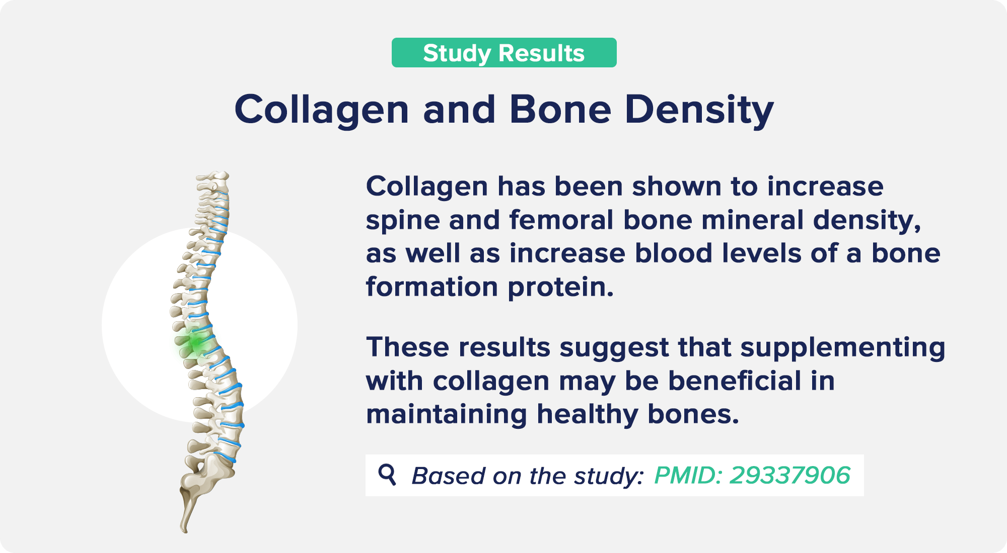 Collagen and Bone Density