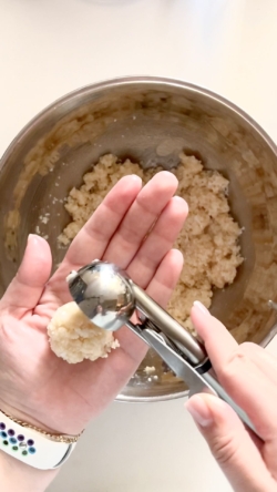 Form the mixture into small balls with the help of a small scoop.