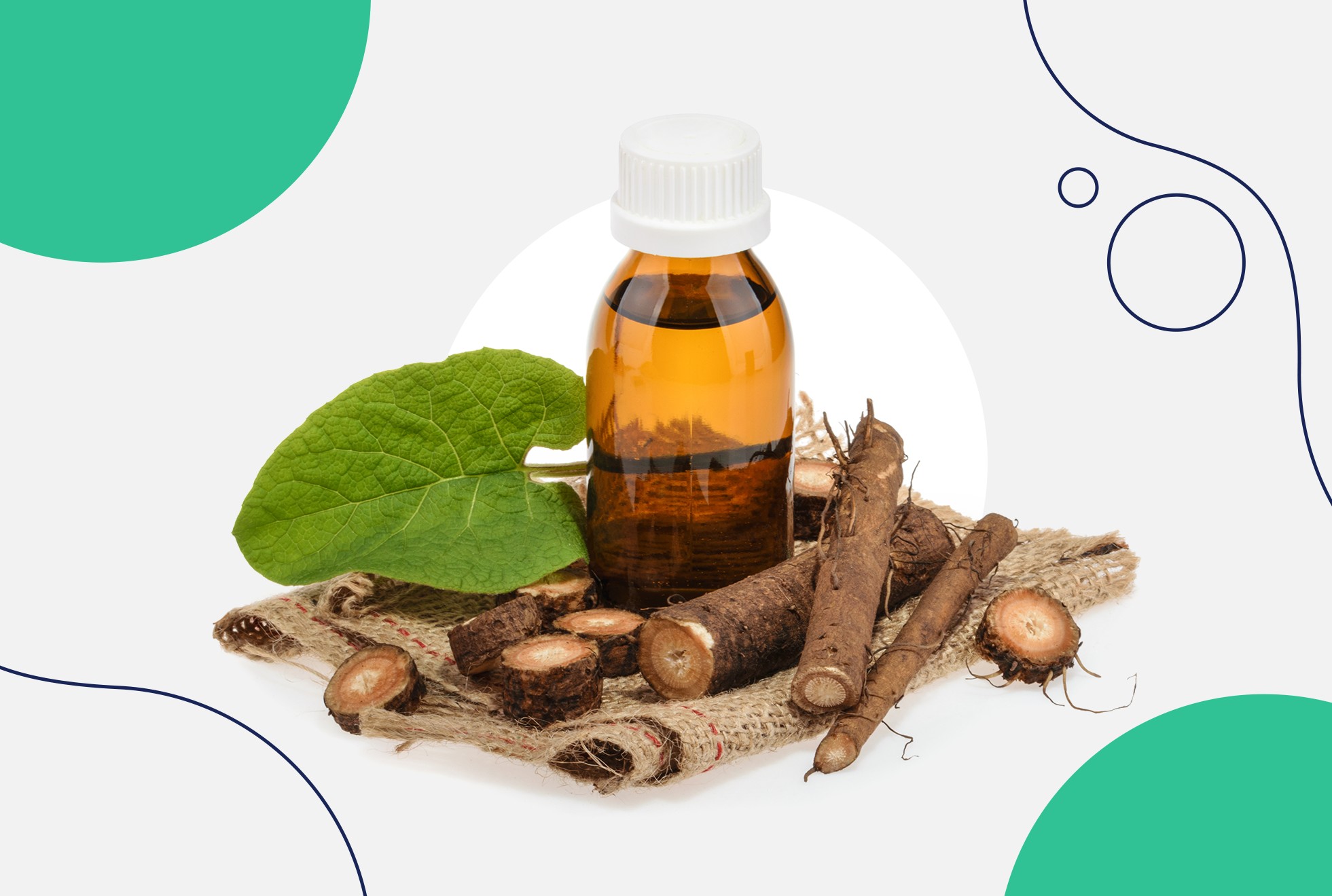 Burdock Root Benefits and Side Effects