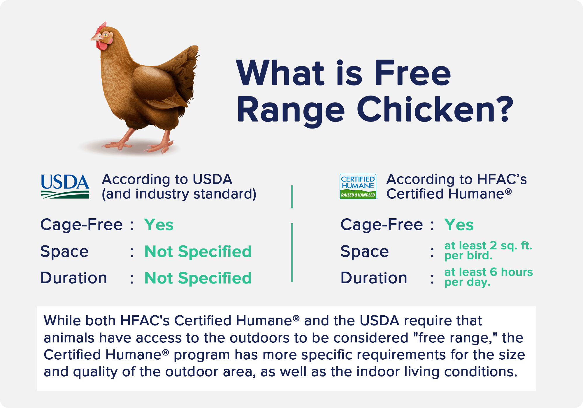 What is Free Range Chicken?
