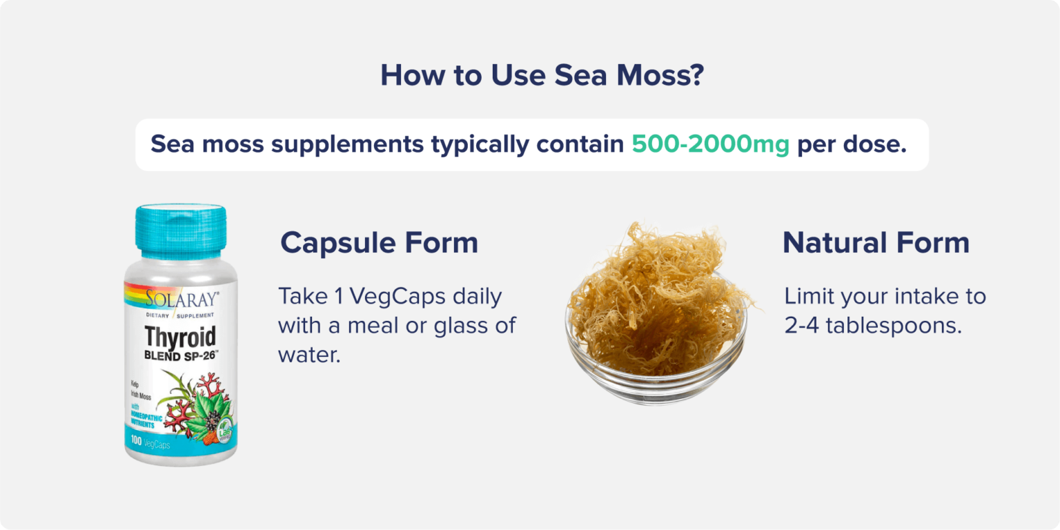 Sea Moss Benefits How To Eat It The Nutrition Insider sea-moss-benefits-how-to-eat-it-the-nutrition-insider