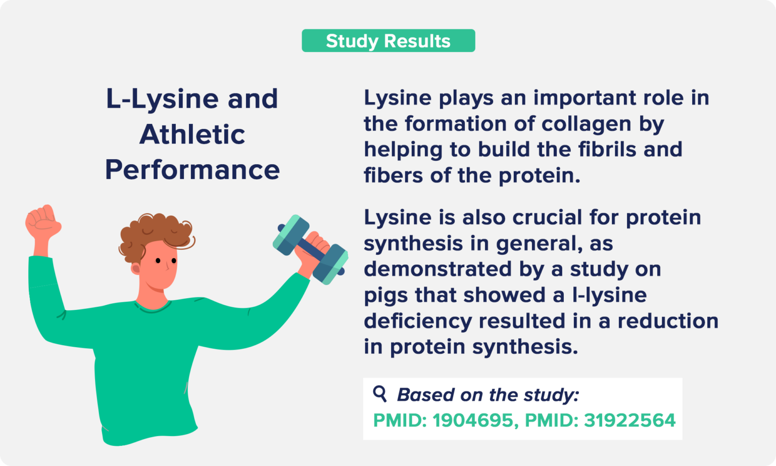 L Lysine Before Or After Workout L-Lysine Benefits: From Anxiety to Muscle Growth - The Nutrition Insider