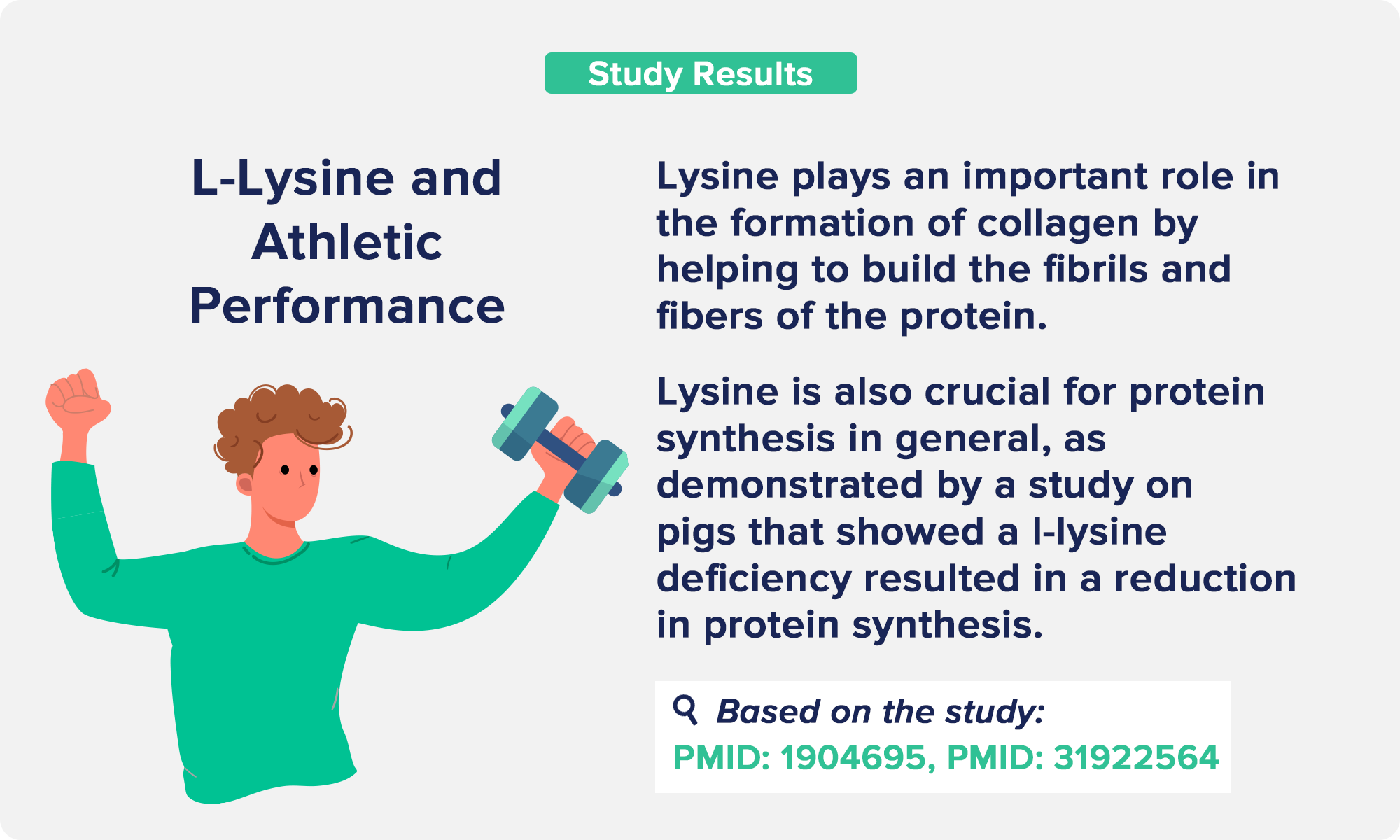 L-Lysine and Athletic Performance