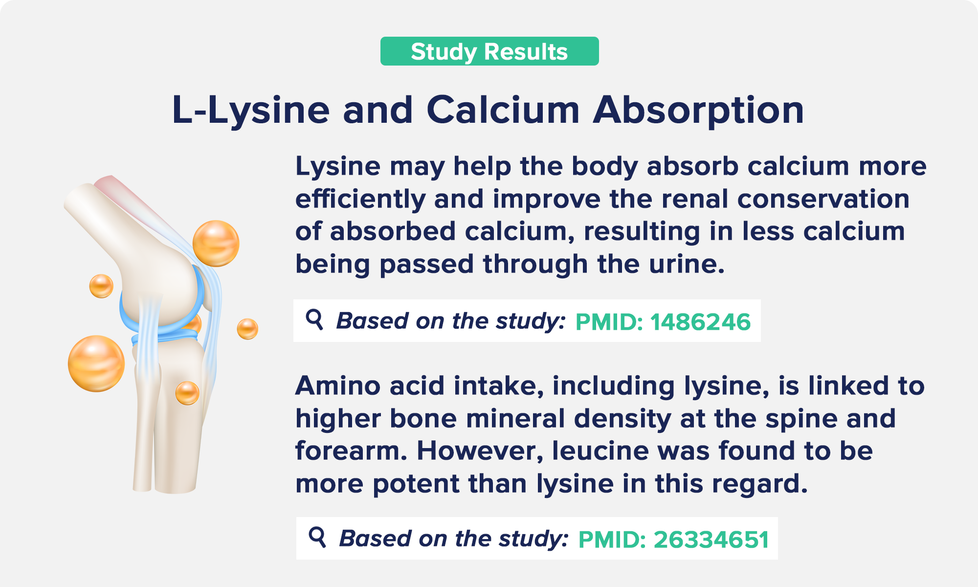 L-Lysine and Calcium Absorption