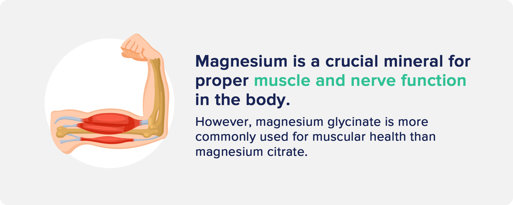 Muscle and Nerve Health