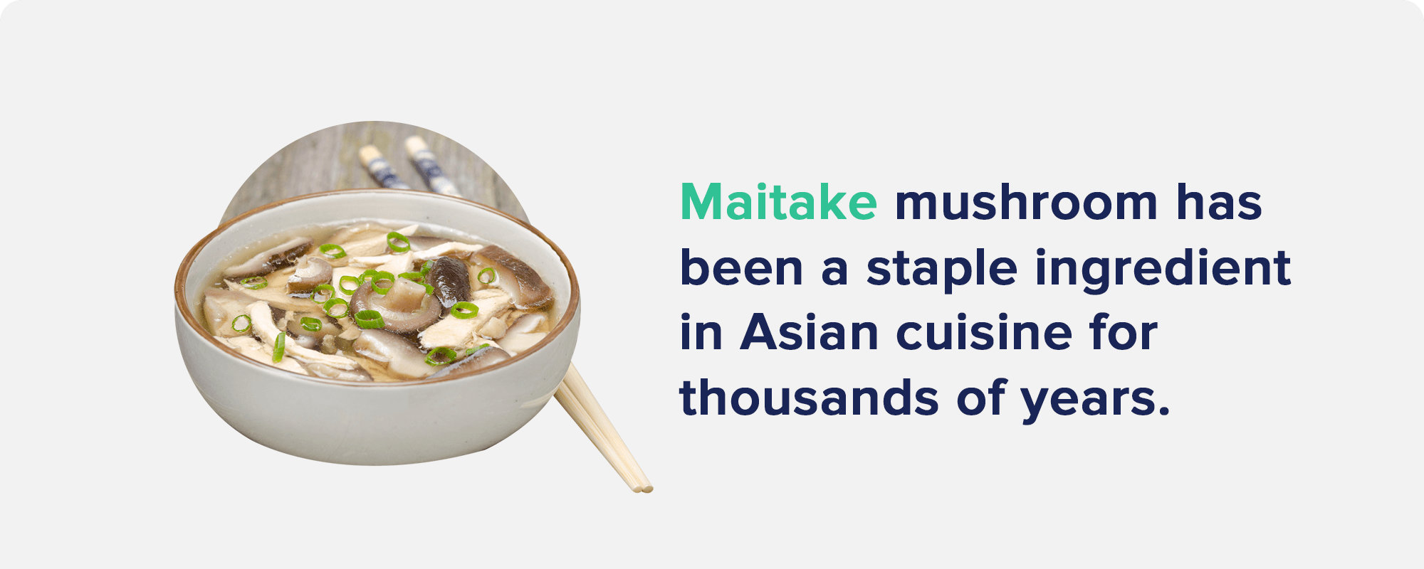 Maitake Mushroom has been a staple ingredient in Asian cuisine for thousands of years.