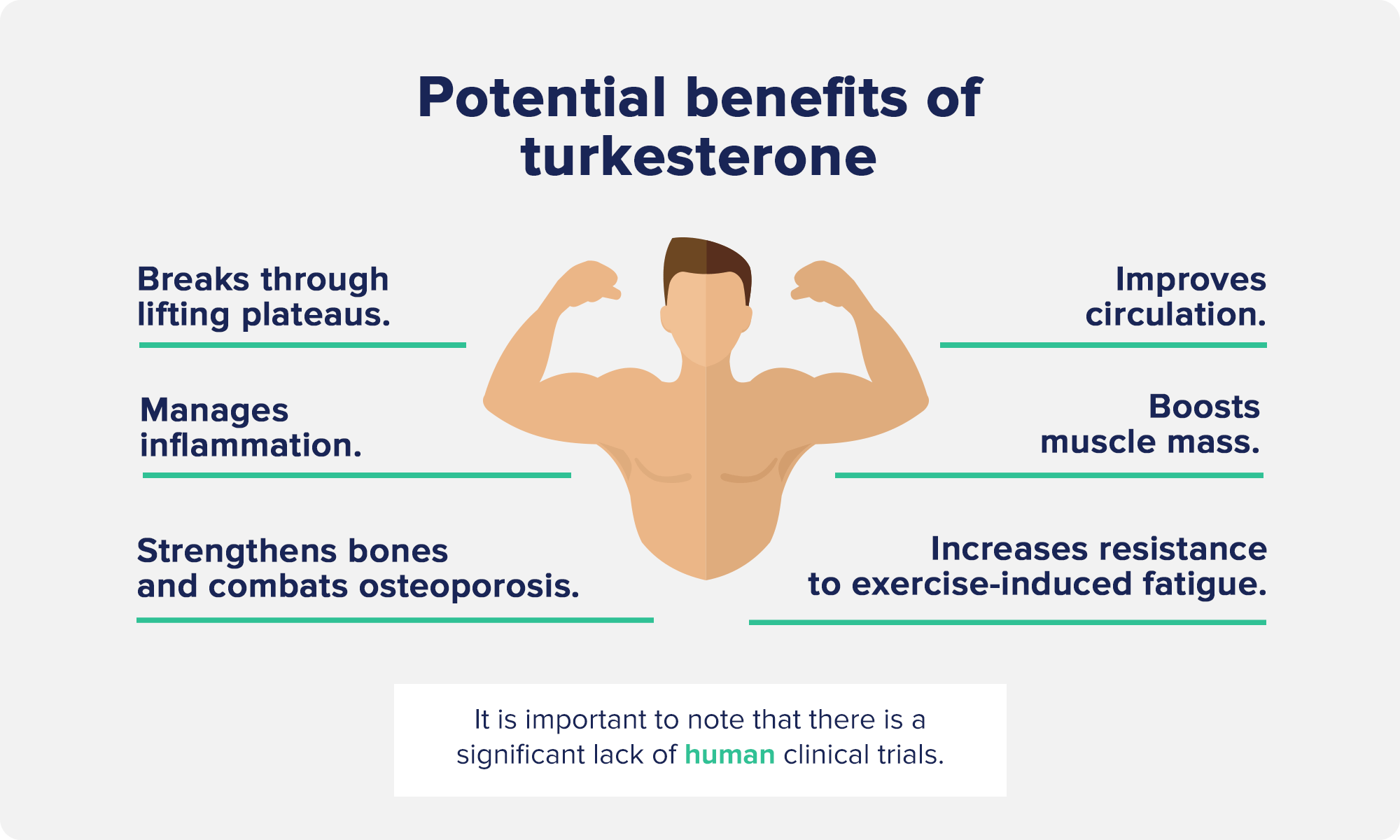Potential benefits of turkesterone