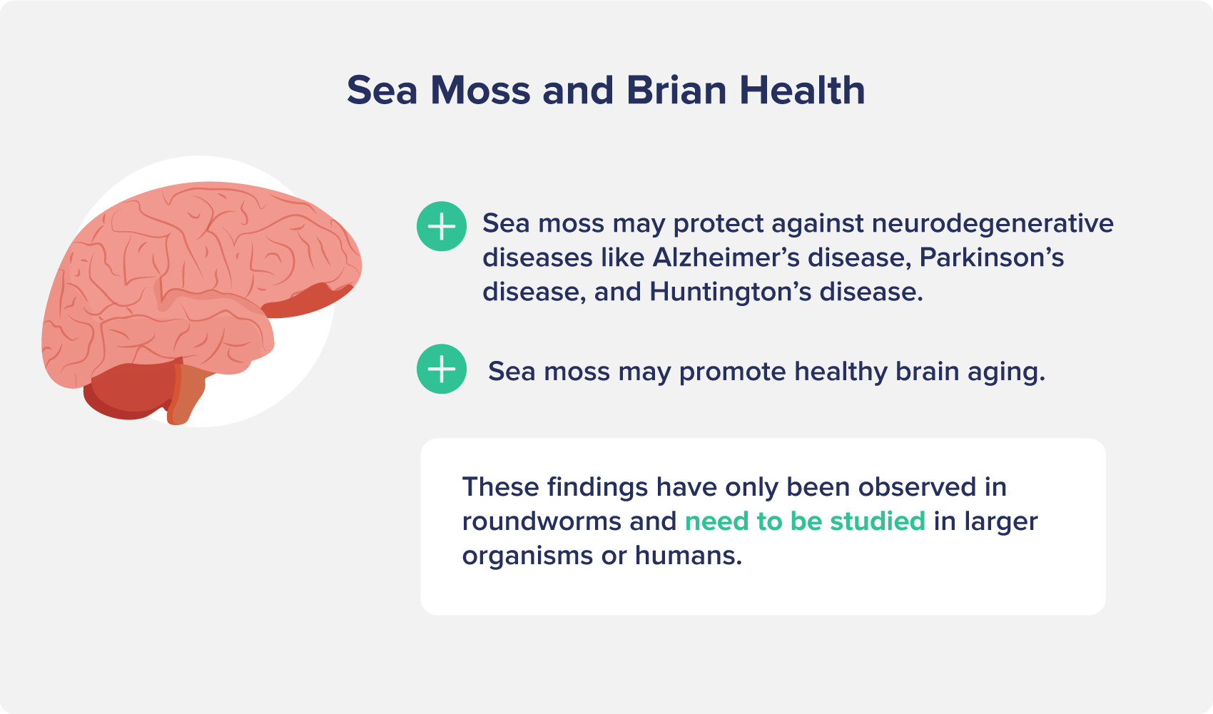 Sea Moss and Brian Health