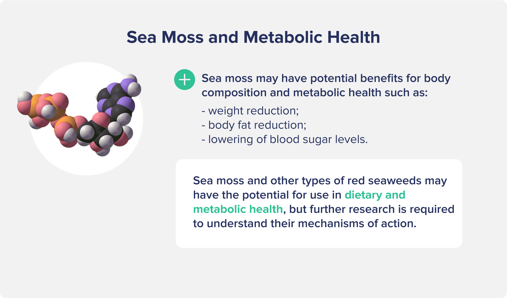 Sea Moss and Metabolic Health