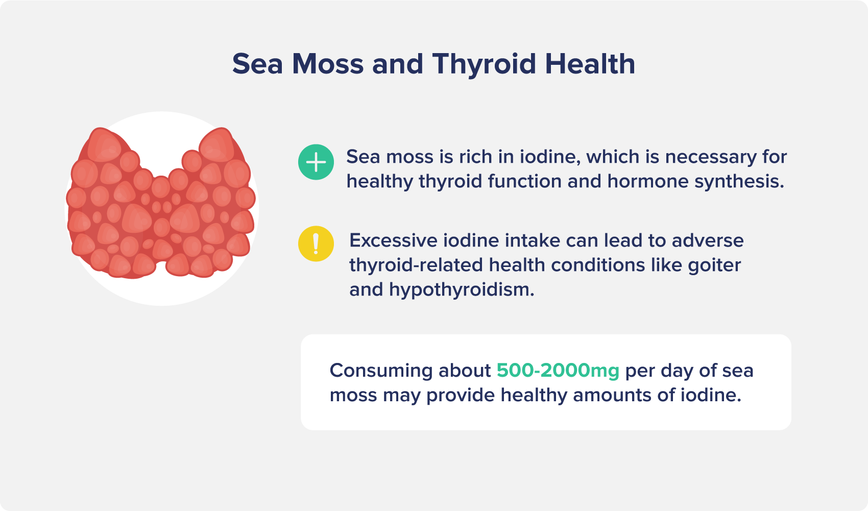 Sea Moss and Thyroid Health