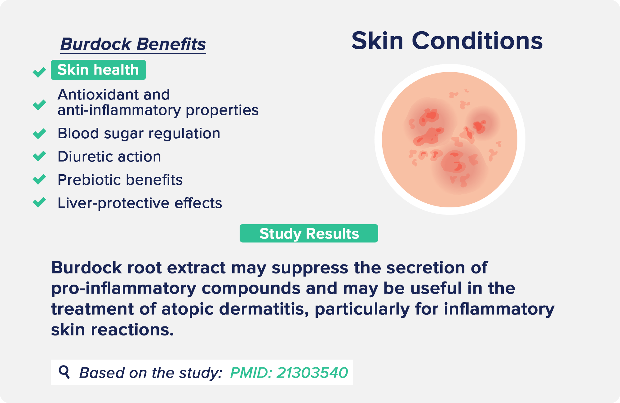 burdock benefits: Skin Conditions