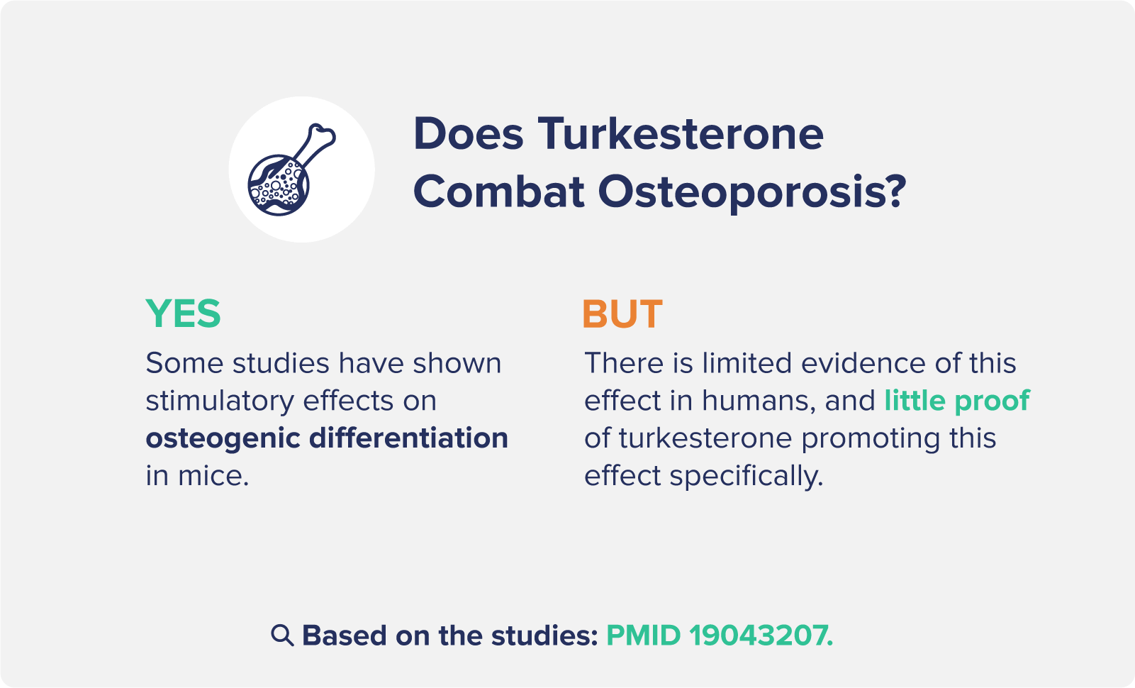 Does Turkesterone Combat Osteoporosis