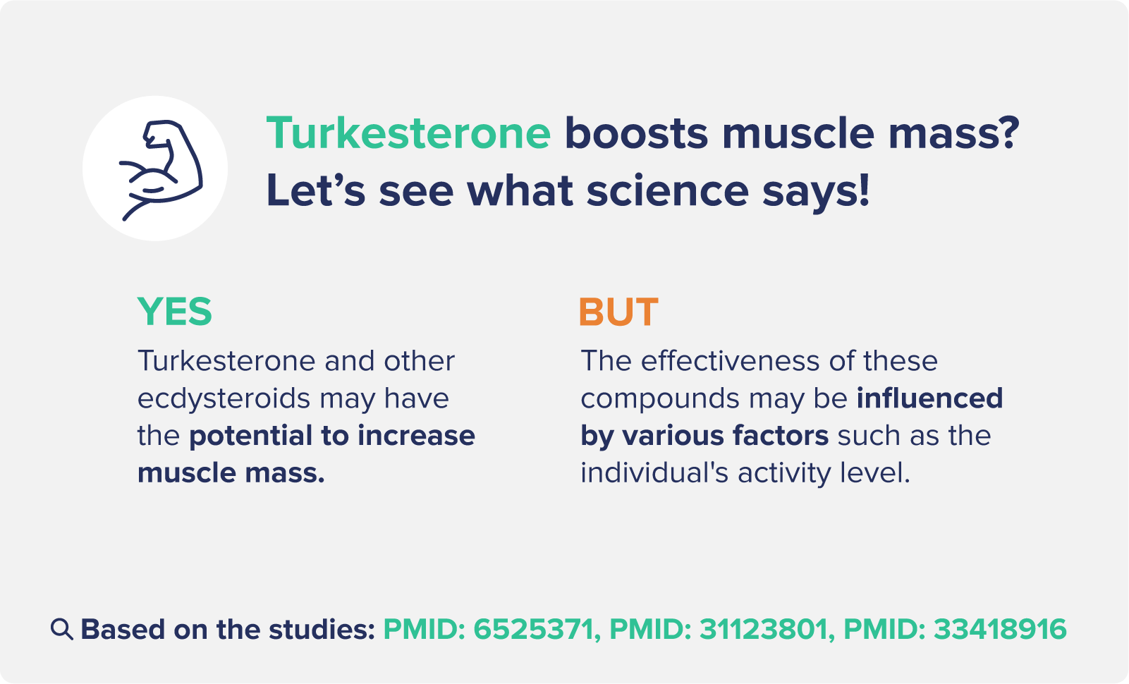 Turkesterone boosts muscle mass