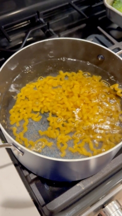 Once water is boiled, add in pasta and cook according to box directions
