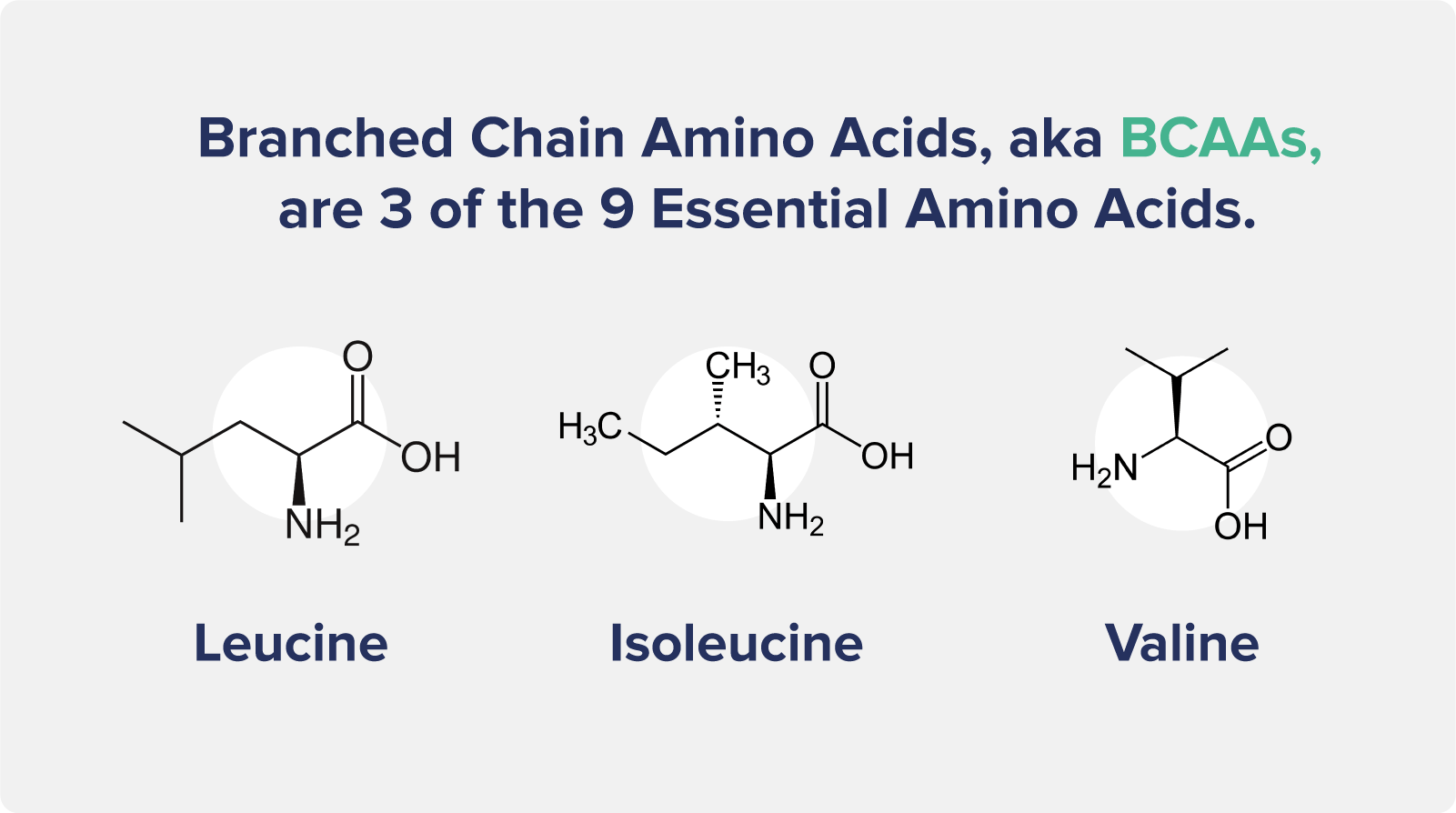 Branched Chain Amino Acids, aka BCAAs, are 3 of the 9 Essential Amino Acids.