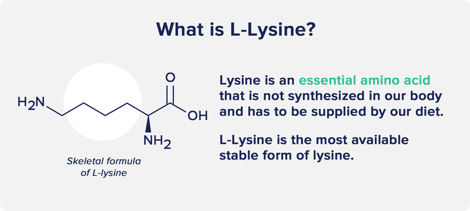 What is L-Lysine