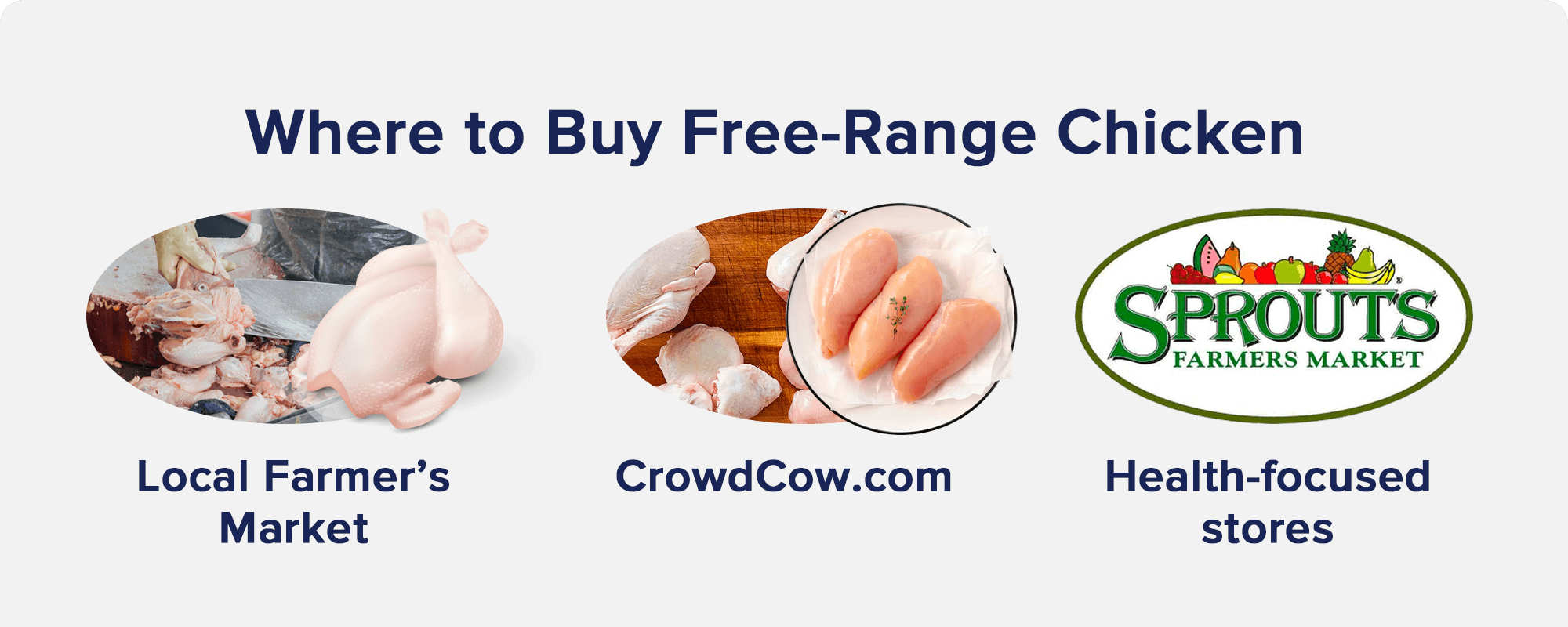 Where to Buy Free-Range Chicken