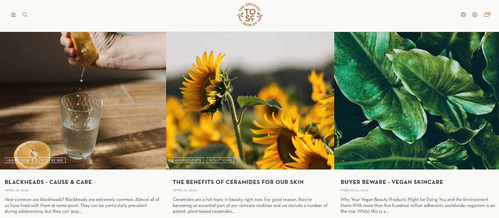 A look at The Organic Skin Co.’s blog