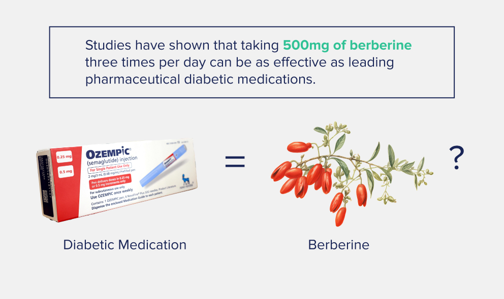 berberine versus a diabetic medication for lowering blood sugar