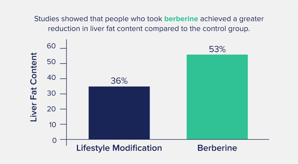 berberine benefits liver health
