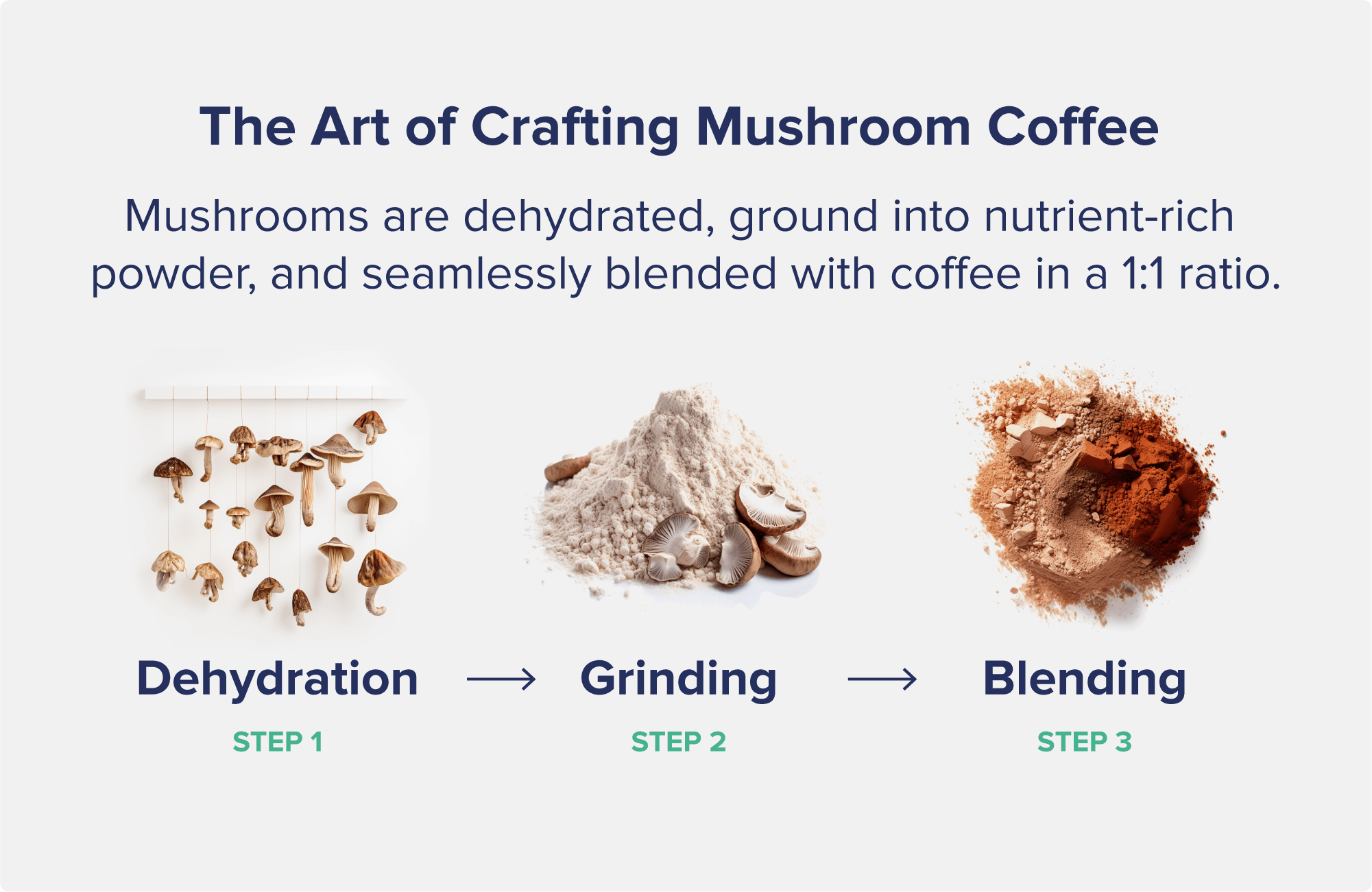 A graphic entitled "The Art of Crafting Mushroom Coffee" showing three steps with accompanying pictures - dehydration, grinding, and blending.