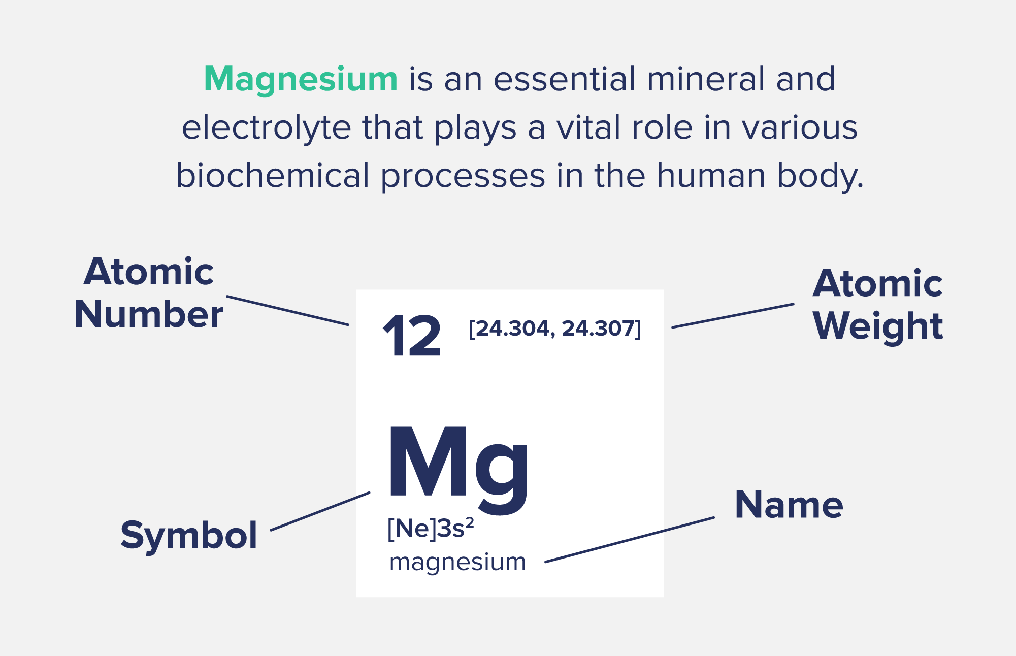 A graphic showing magnesium's location on the periodic table of elements. Magnesium is an essential mineral and electrolyte that plays a vital role in various biochemical processes in the human body. 