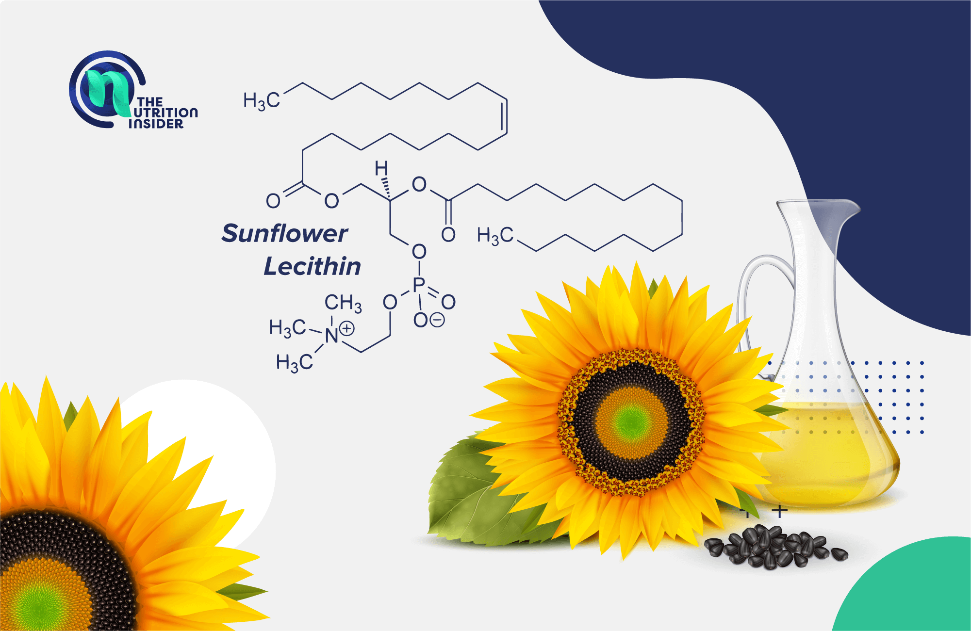 Sunflower Lethicin