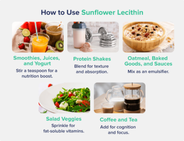 A graphic entitled How to Use Sunflower Lecithin depicting several pictures representing its use in smoothies, protein shakes, coffee, and more
