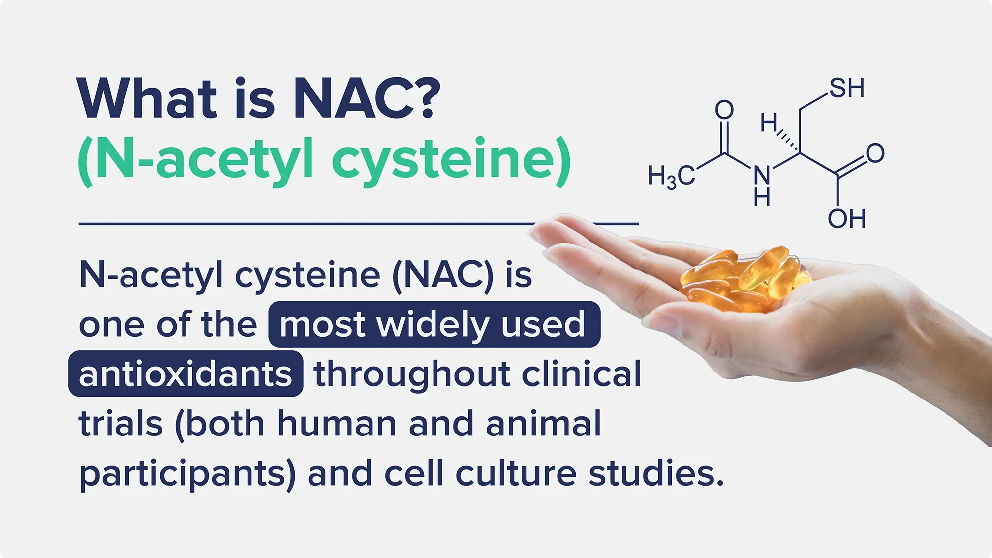 A graphic entitled "What is NAC?" including a diagram of the chemical formula and information about it being a widely used antioxidant in studies.