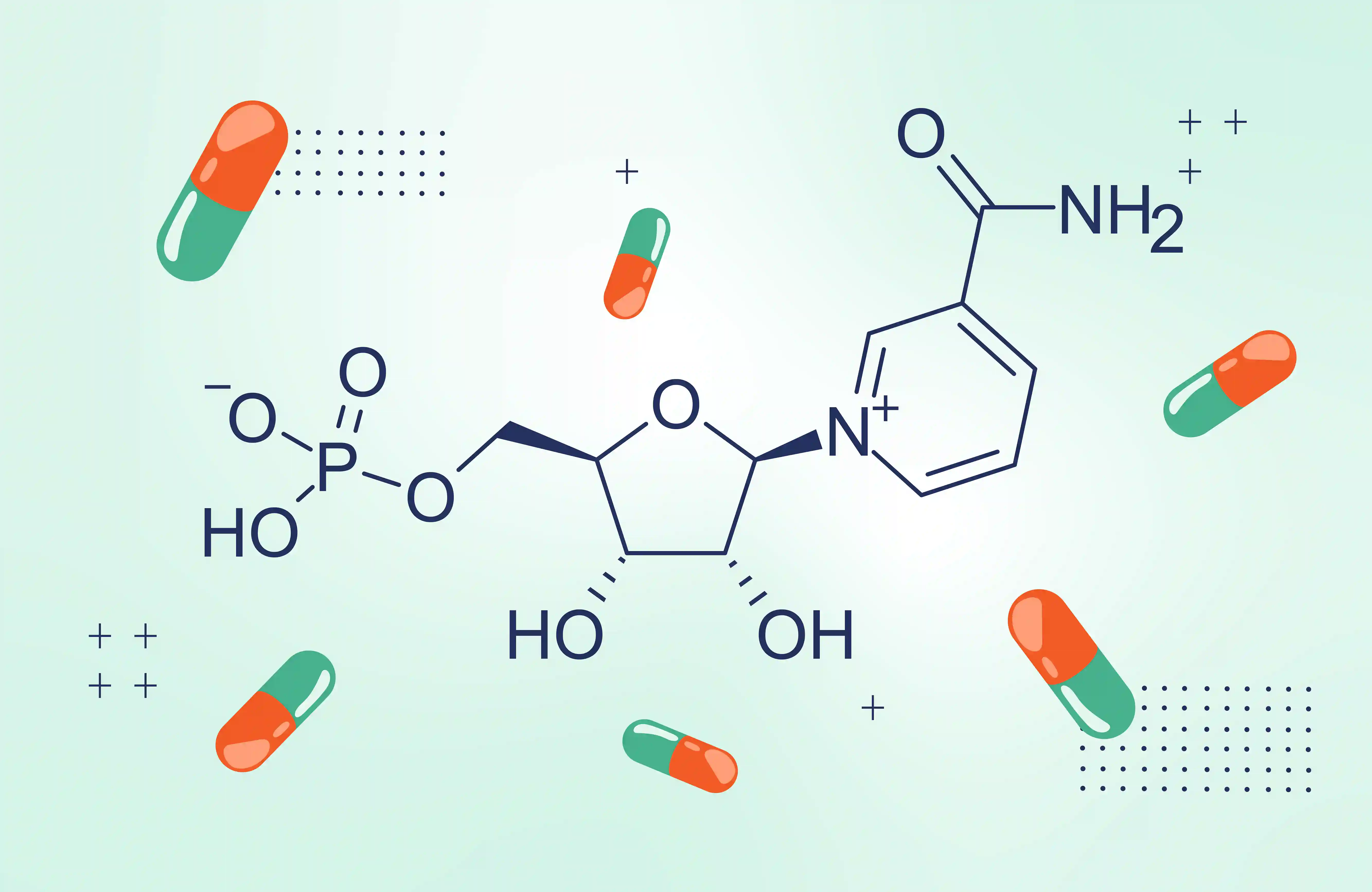 What is NMN Benefits, Side Effects and How to Take NMN Supplements