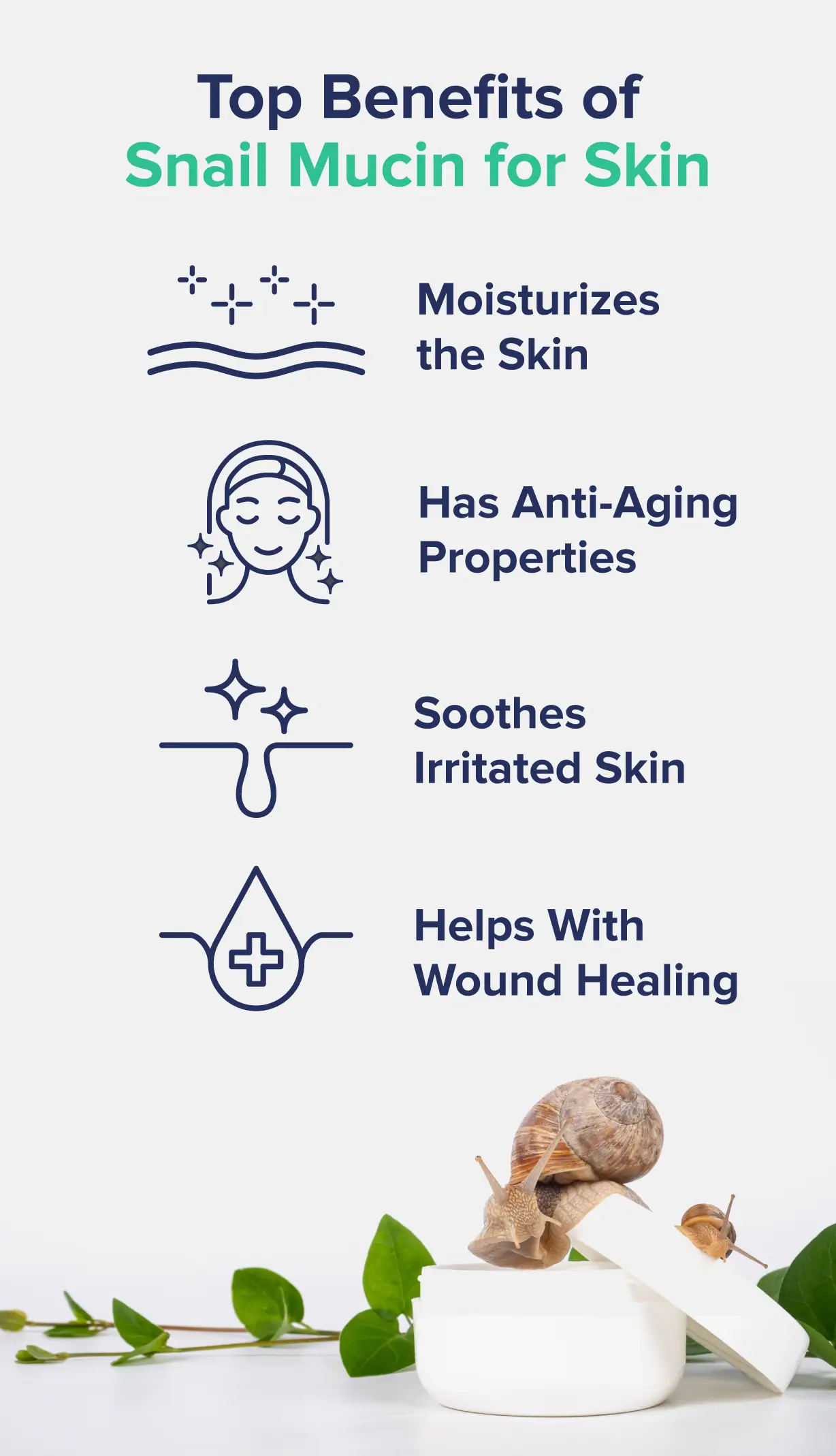 A graphic entitled "Top Benefits of Snail Mucin for Skin," listing several benefits like moisturizing and anti-aging properties, each accompanied by a small icon. 