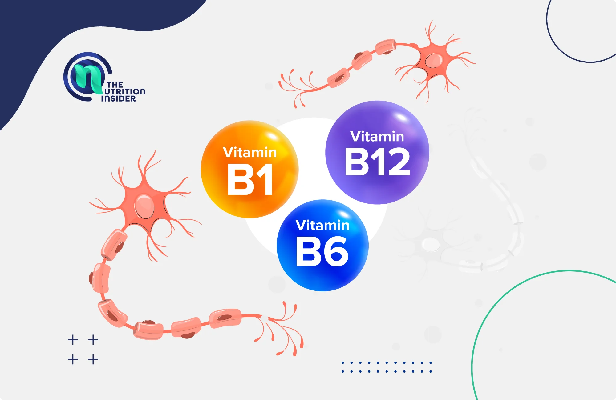 Which Vitamin B Is Best for Nerve Repair?