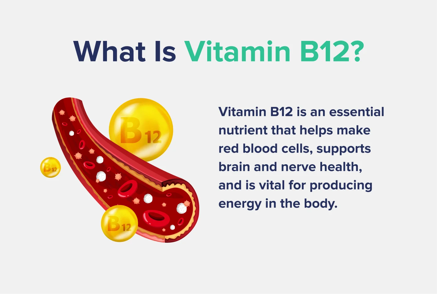 What Is Vitamin B12?Vitamin B12 is an essential nutrient that helps make red blood cells, supports brain and nerve health, and is vital for producing energy in the body.