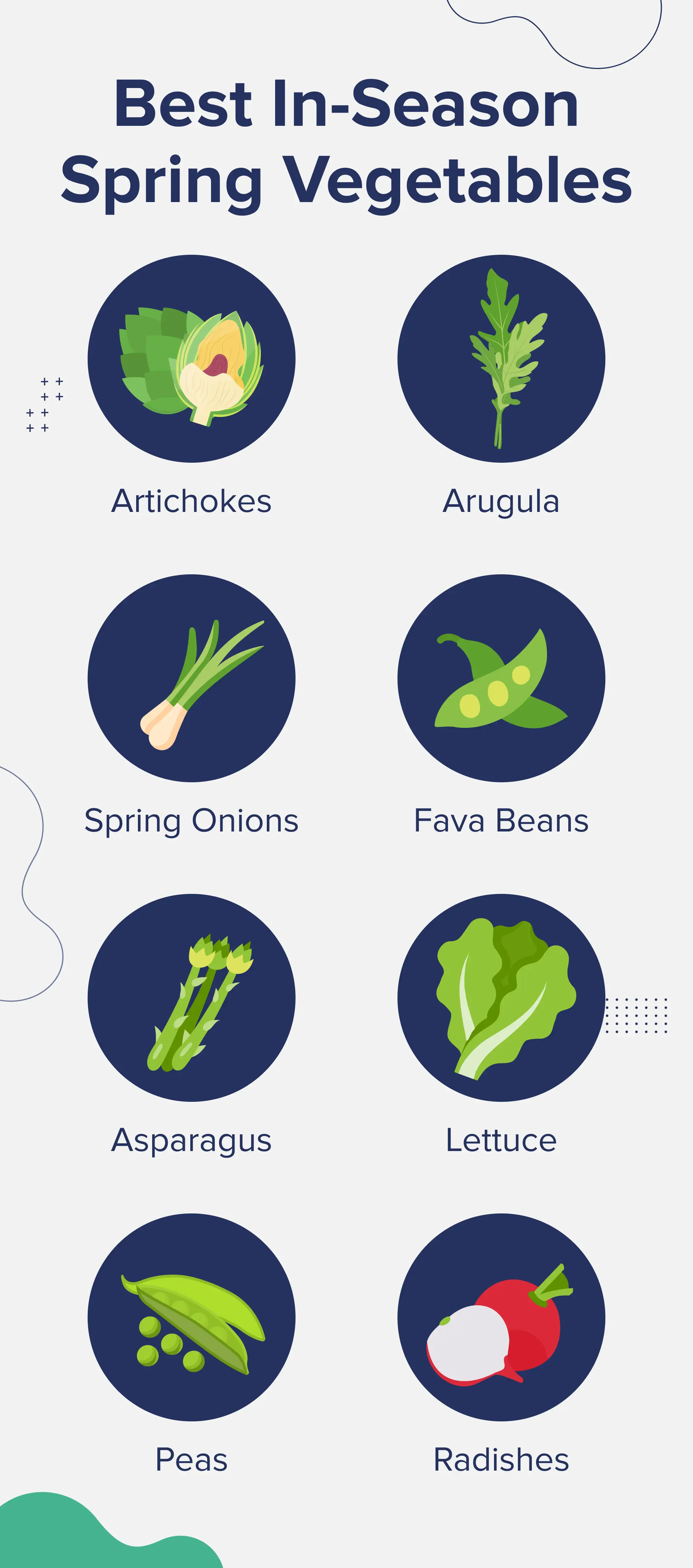 Best In-Season Spring Vegetables- Artichokes- Arugula- Spring Onions- Fava Beans- Asparagus- Lettuce- Peas- Radishes