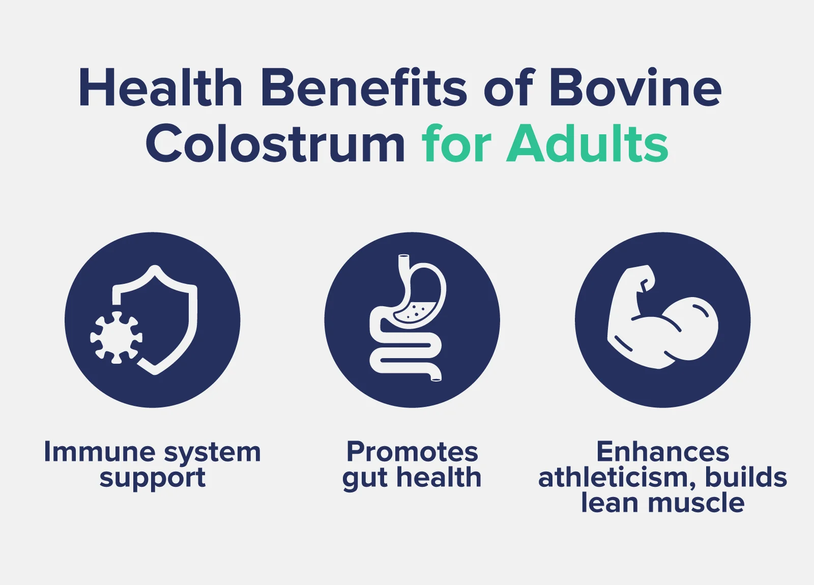 Health Benefits of Bovine Colostrum for Adults