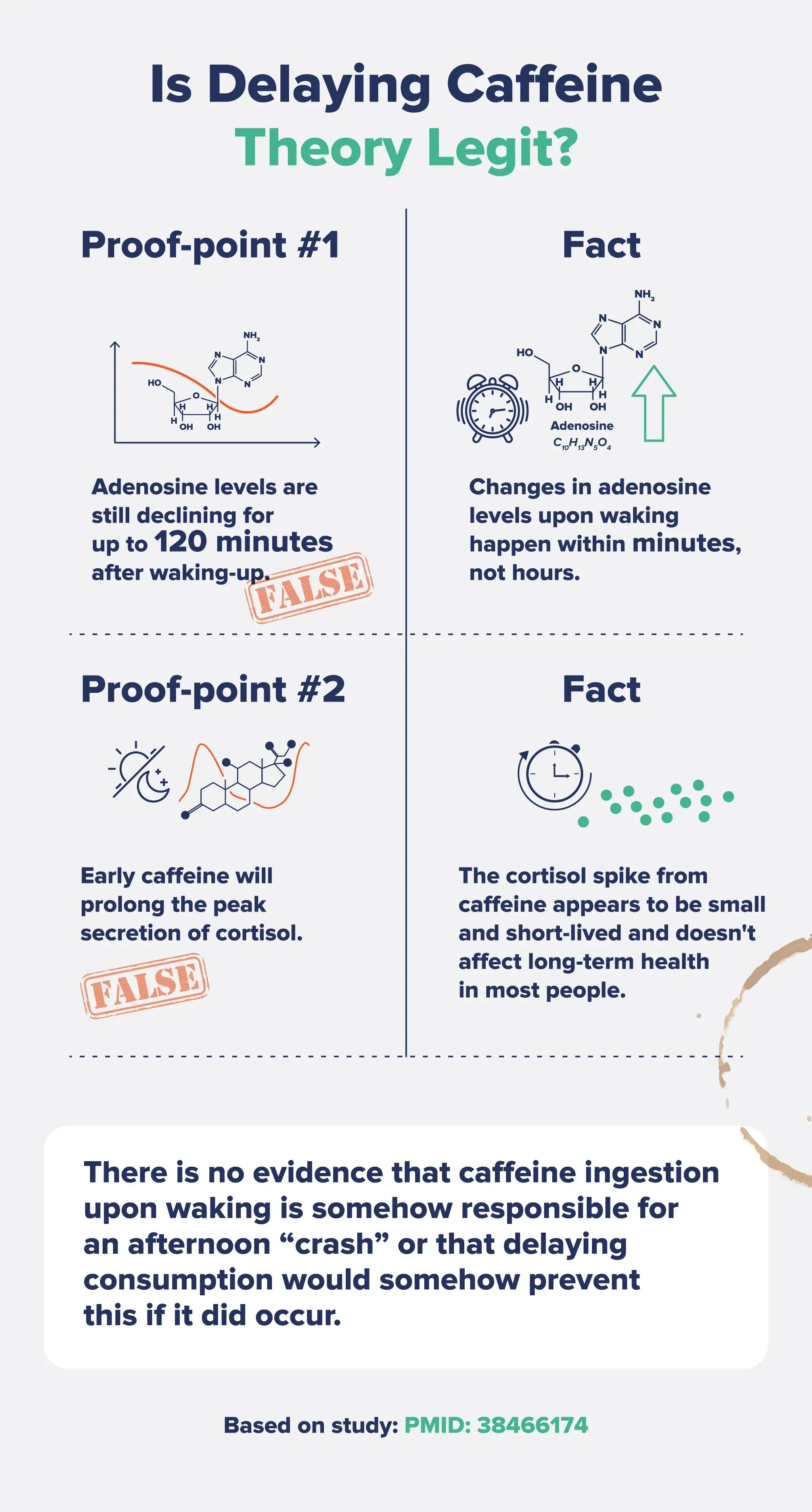 An infographic breaking down two facts that prove the legitimacy of the delaying caffeine theory. 