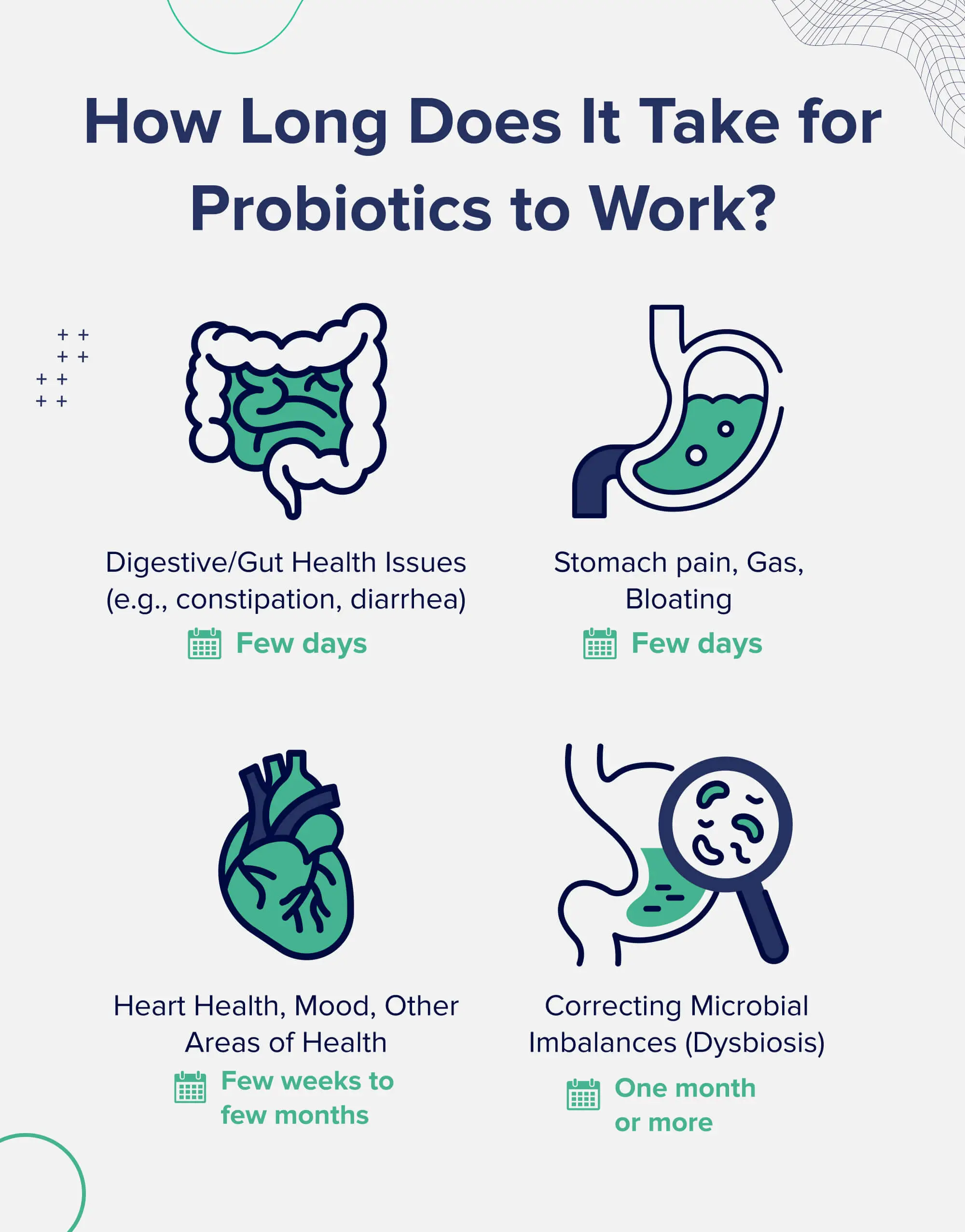 how long does it take for probiotics to work