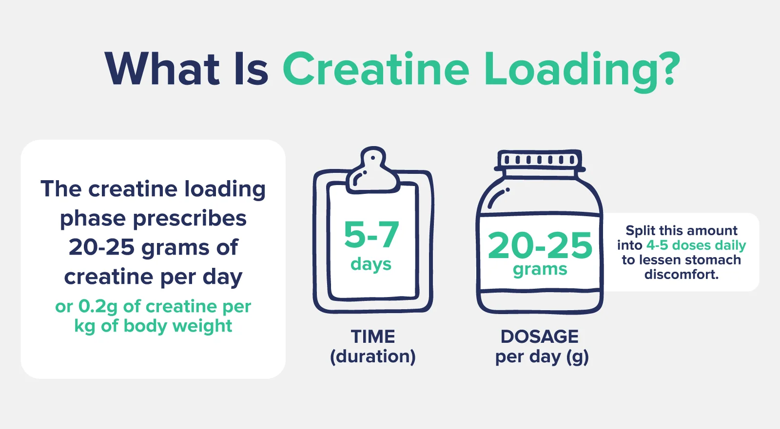 What is creatine loading?