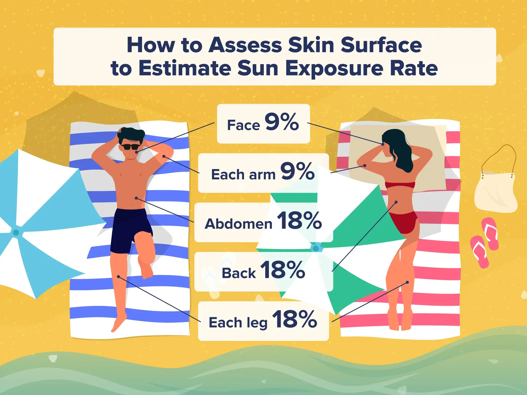 infographic breaking down how to assess skin surface to estimate sun exposure rate.
