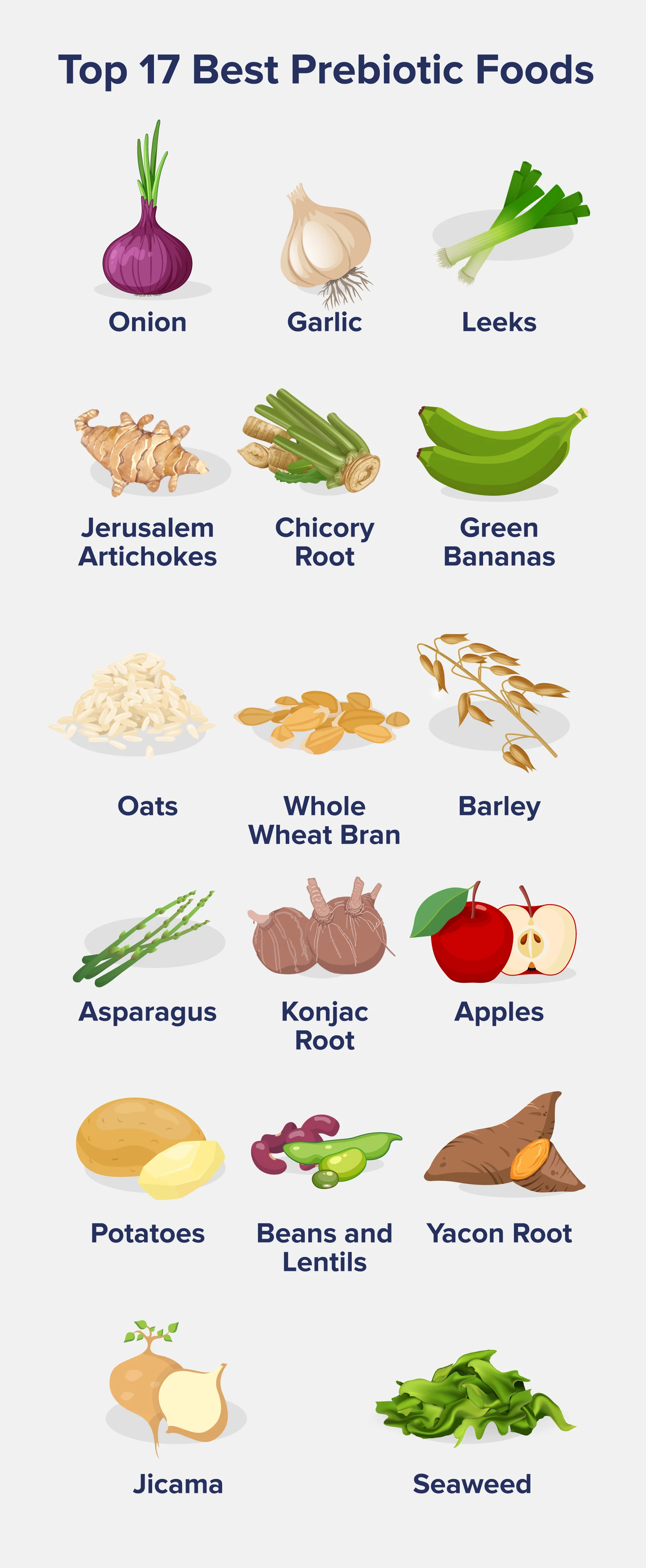 Top 17 Best Prebiotic Foods- Onion- Garlic- Leeks- Jerusalem Artichokes- Chicory Root- Green Bananas- Oats- Whole Wheat Bran- Barley- Asparagus- Konjac Root- Apples- Potatoes- Beans and Lentils- Yacon Root- Jicama- Seaweed